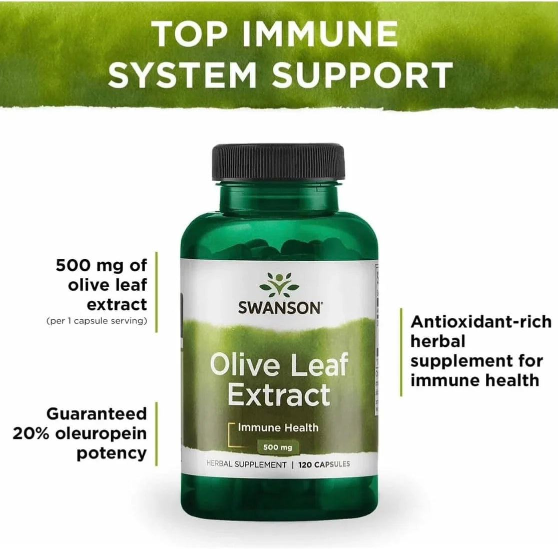 Swanson Olive Leaf Extract Immune Health, 500 mg, 120 Caps